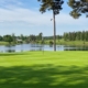 Ostra 768x1024 1
