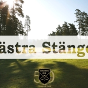 Vastra Stanger 1024x683 1